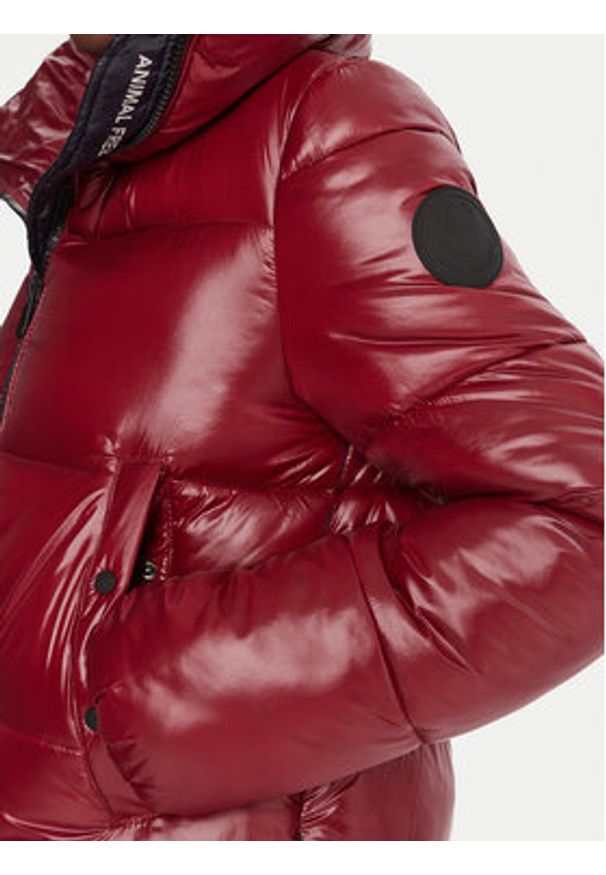 Save The Duck Kurtka zimowa D39370W LOVE21 Bordowy Regular Fit. Kolor: czerwony. Materiał: syntetyk. Sezon: zima