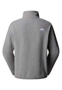 The North Face Polar Glacier NF0A8D0Q Szary Regular Fit. Kolor: szary. Materiał: syntetyk