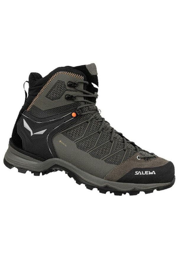 Buty trekkingowe Salewa Mountain Trainer Lite Mid GTX. Kolor: szary