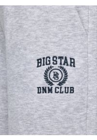 Big-Star - Spodnie damskie dresowe wide szare Madelinap 901. Kolor: szary. Materiał: dresówka. Wzór: aplikacja, haft #4