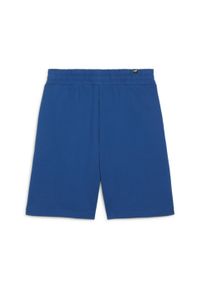 Szorty Sportowe Męskie Puma Better Essentials 9'' Tr. Kolor: szary, niebieski, wielokolorowy. Sport: fitness