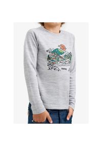 Bluza dziecięca Reima Viisas. Kolor: szary