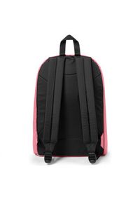 Eastpak Plecak Out Of Office EK0007671K71 Różowy. Kolor: różowy