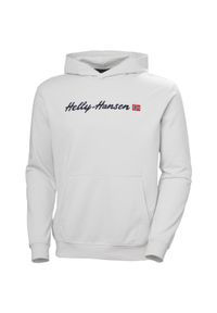 Bluza Helly Hansen Core Graphic. Kolor: szary #1