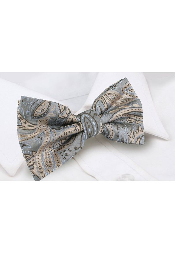 Mucha Męska w Zestawie z Poszetką - Alties - Popiel, Jasne Paisley. Wzór: paisley. Styl: elegancki, sportowy