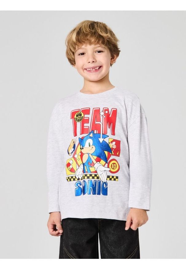 Sinsay - Bawełniana koszulka z nadrukiem Sonic the Hedgehog - szary. Kolor: szary. Materiał: bawełna. Wzór: nadruk