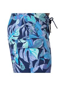 Spodenki szorty plażowe na basen męskie Speedo Print BoardShort. Kolor: niebieski. Wzór: nadruk