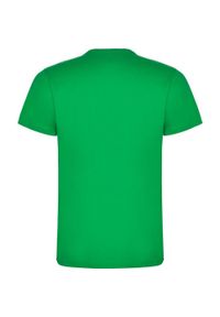 ROLY - Męska Koszulka Dogo Premium. Kolor: zielony