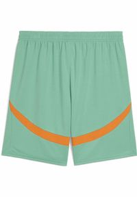 Puma - Męskie szorty Wybrzeże Kości Słoniowej 2025 PUMA Jade Frost White Green. Kolor: biały