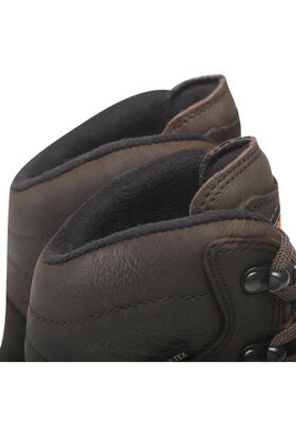 MEINDL - Meindl Trekkingi Rauris Lady Gtx GORE-TEX 7893 Brązowy. Kolor: brązowy. Materiał: skóra