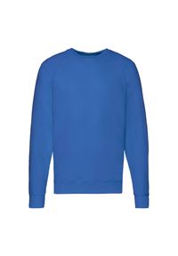FRUIT OF THE LOOM - Lekki Męski Sweter Raglanowy. Kolor: niebieski. Długość rękawa: raglanowy rękaw