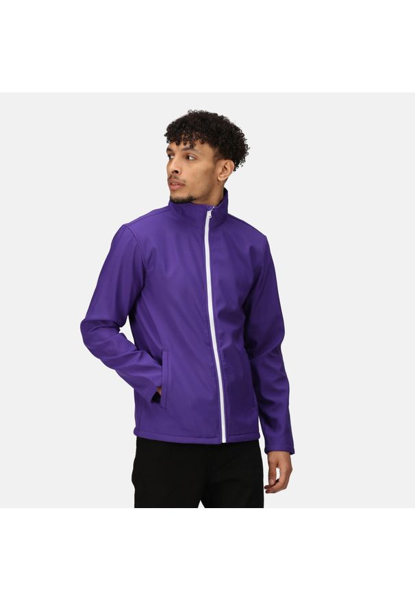 Regatta - Męska kurtka softshell Ablaze z nadrukiem. Kolor: fioletowy. Materiał: softshell. Wzór: nadruk. Sezon: zima, jesień. Sport: turystyka piesza