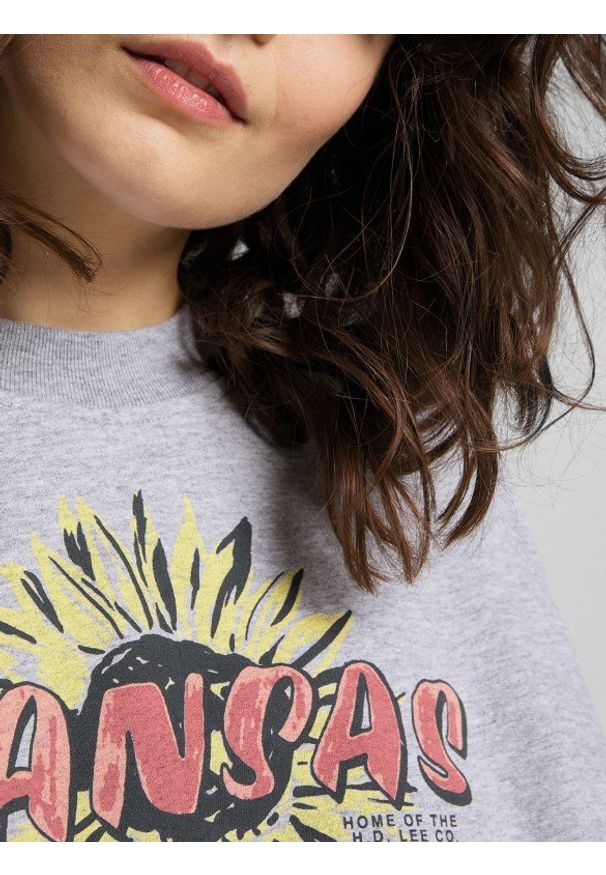 Lee - DAMSKA BLUZA LEE CUT & SEW RAGLAN SWS GREY MELE L36UTX37 112107919. Długość rękawa: raglanowy rękaw
