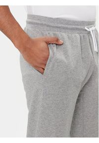 EA7 Emporio Armani Spodnie dresowe 3DPP73 PJ05Z 3905 Szary Regular Fit. Kolor: szary. Materiał: bawełna #5