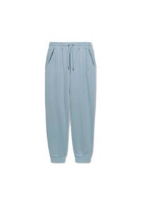 PITBULL - Spodnie męskie Pitbull Lancaster 2 Track Pants. Kolor: niebieski