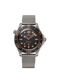 Zegarek Męski OMEGA SEAMASTER 210.90.42.20.01.001. Styl: klasyczny