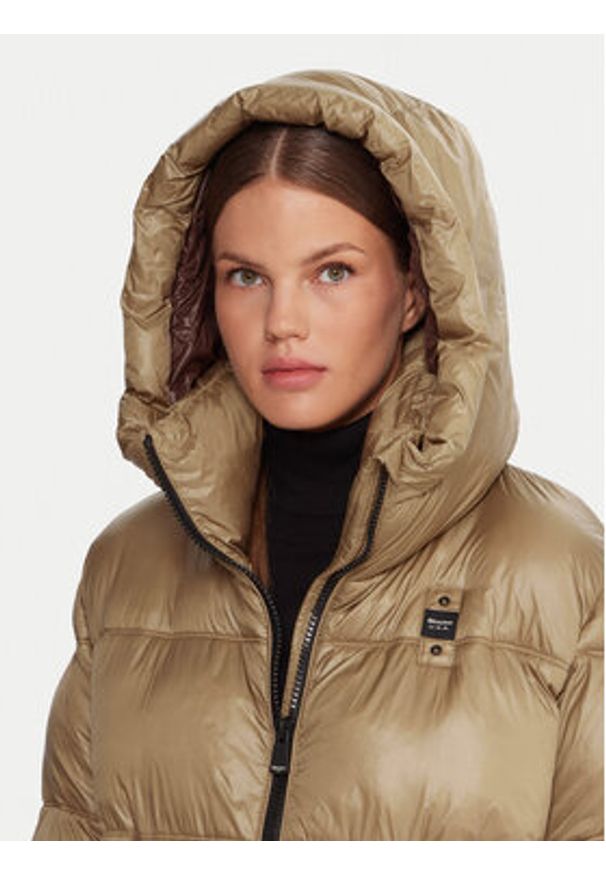 Blauer Płaszcz zimowy 25WBLDK02192 Brązowy Regular Fit. Kolor: brązowy. Materiał: syntetyk. Sezon: zima