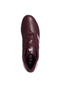 Adidas - Buty piłkarskie adidas Copa Pure.2 Club FxG IG1098 czerwone. Zapięcie: sznurówki. Kolor: czerwony. Materiał: syntetyk, guma. Sport: piłka nożna