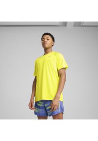 Puma - Męska koszulka do biegania VELOCITY PUMA Lemon Sherbert Yellow. Kolor: zielony, wielokolorowy, żółty. Sport: bieganie