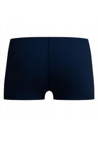 Speedo - Chłopięce Spodenki Kąpielowe Z Logo Medley. Kolor: niebieski