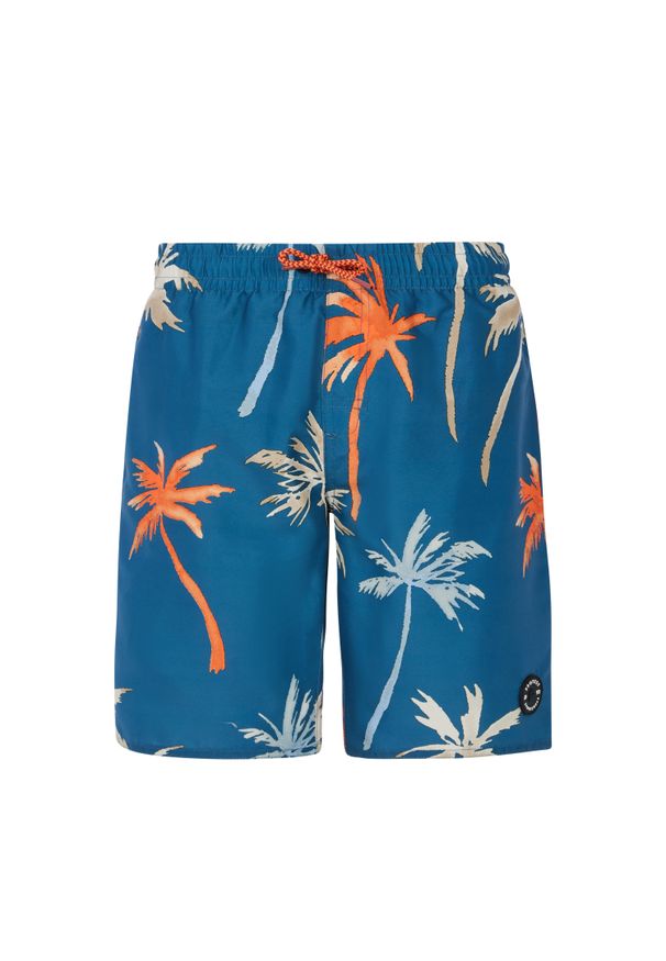 Spodenki kąpielowe dla dzieci Protest Brandon. Kolor: niebieski