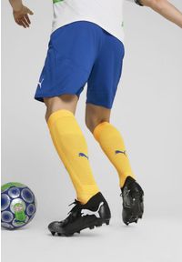 Szorty Puma PSV Eindhoven 2024/25. Kolor: biały, niebieski, wielokolorowy