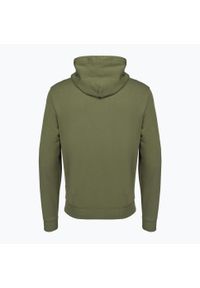 Bluza męska Napapijri B-Iaato H. Kolor: zielony