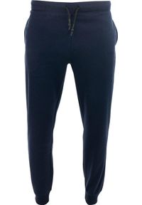 GLOMEX - Spodnie dresowe męskie Glemo Rametto - granatowe. Kolor: niebieski. Materiał: poliester, bawełna #2