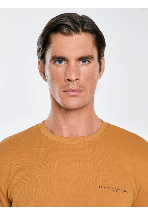 Big-Star - Koszulka męska bawełniana z logo BIG STAR brązowa Wlader 803. Okazja: na co dzień. Kolor: brązowy. Materiał: bawełna. Długość rękawa: krótki rękaw. Długość: krótkie. Wzór: ze splotem, nadruk. Sezon: lato. Styl: elegancki, casual, klasyczny