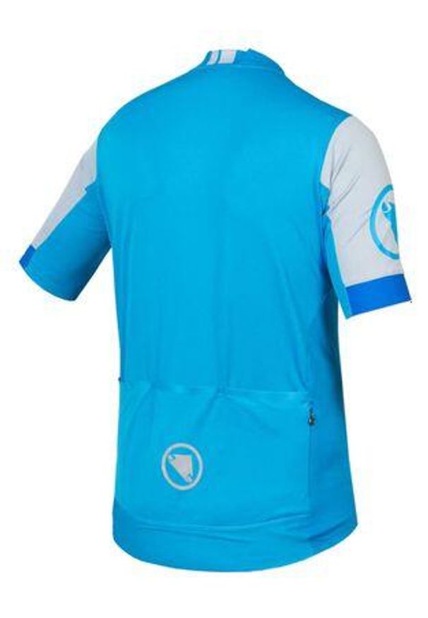 ENDURA - Koszulka rowerowa męska Endura FS260 S/S Std hi-viz. Kolor: niebieski. Sport: kolarstwo