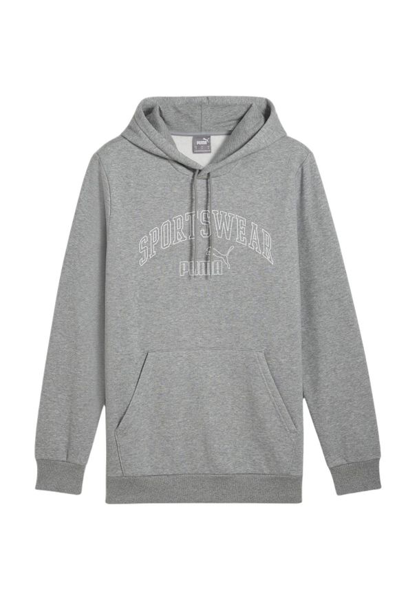 Puma - Męska Bluza Z Logo Essentials 68177. Kolor: szary
