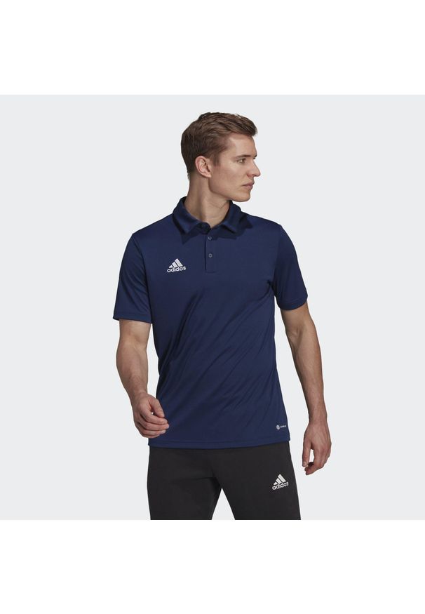 Koszulka polo do piłki nożnej męska Adidas Entrada 22 Polo z krótkim rękawem. Typ kołnierza: polo. Kolor: niebieski. Długość rękawa: krótki rękaw. Długość: krótkie