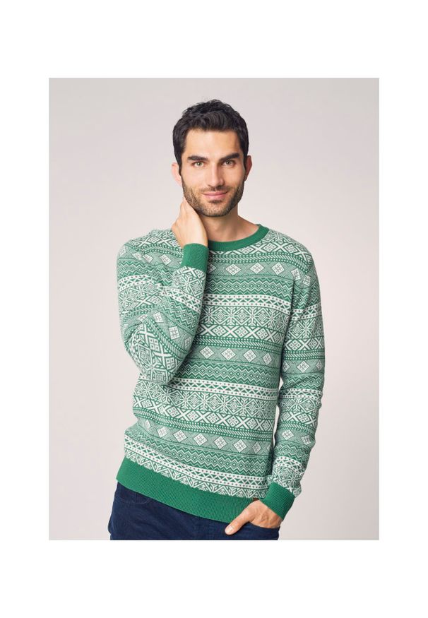 Ochnik - Sweter męski. Okazja: na co dzień. Kolor: zielony. Materiał: materiał. Długość: długie. Styl: casual, wizytowy