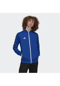 Adidas - Entrada 22 Track Jacket. Kolor: niebieski, biały, wielokolorowy. Materiał: materiał. Sport: piłka nożna #1