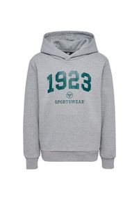 Dziecięca bluza z kapturem Hummel hmlNIPPS. Typ kołnierza: kaptur. Kolor: szary #1