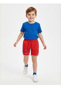 Sinsay - Szorty Spider-Man - czerwony. Kolor: czerwony #1