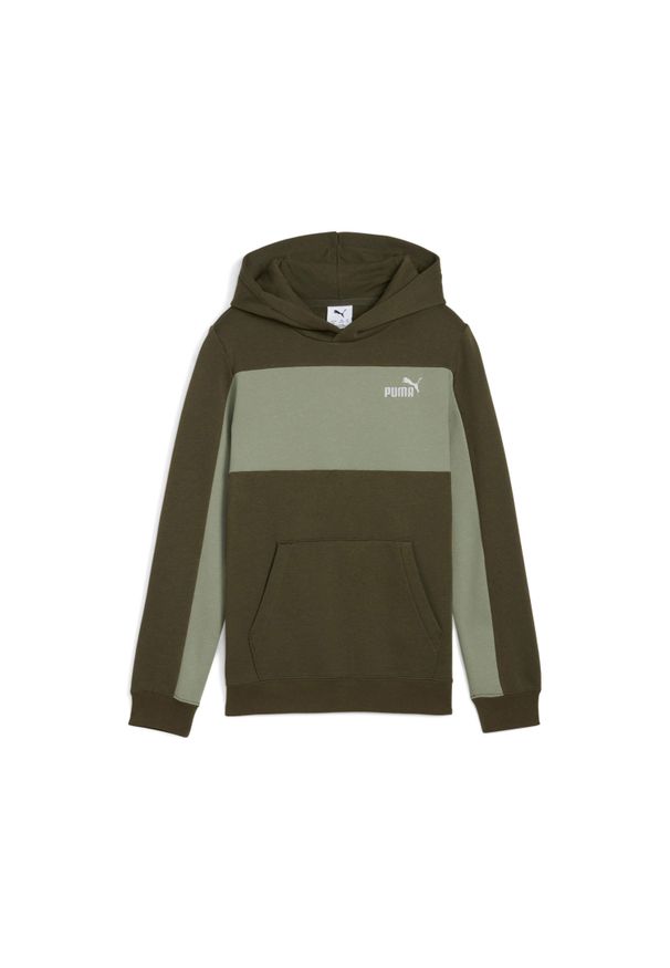 Bluza z kapturem dla dzieci Puma Essentials Block Small Logo. Typ kołnierza: kaptur. Kolor: zielony. Materiał: polar