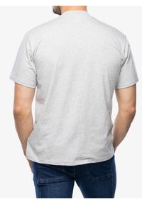 Koszulka bawełniana męska Marmot MMW Tee. Typ kołnierza: polo. Kolor: szary. Materiał: bawełna
