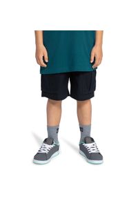 DC Shoes - Szorty spacerowe dla Chłopcy PIPELINE 17" Beżowy. Okazja: na spacer. Kolor: zielony. Materiał: materiał, bawełna. Długość: krótkie. Sezon: lato