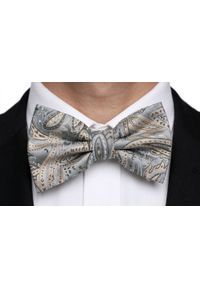 Mucha Męska w Zestawie z Poszetką - Alties - Popiel, Jasne Paisley. Wzór: paisley. Styl: elegancki, sportowy #3