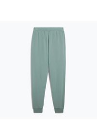 Puma - Spodnie męskie PUMA ESS No. 1 Logo Sweatpants TR CL. Kolor: zielony
