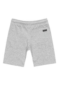 Quiksilver - Spodenki z elastyczną talią dla Chłopcy EASY DAY Szary. Kolor: szary. Materiał: materiał, poliester, bawełna. Długość: krótkie. Sezon: lato