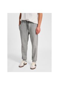 Spodnie dresowe Hummel Tech Fleece Regular. Kolor: szary. Materiał: dresówka. Sport: fitness #1