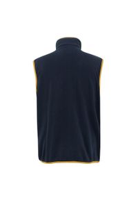 Regatta - Męska Kamizelka Polarowa Frankie. Kolor: żółty, pomarańczowy, niebieski, wielokolorowy. Materiał: polar. Styl: sportowy. Sport: turystyka piesza #2