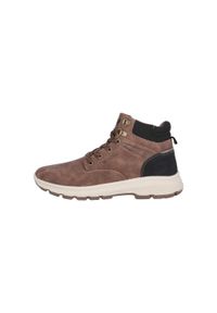 Buty trekkingowe Whistler Aoshilo. Kolor: brązowy