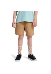 Quiksilver - Spodenki z elastyczną talią dla Chłopcy TAXER YOUTH 15" Brązowy. Kolor: brązowy. Materiał: tkanina, elastan, bawełna. Długość: krótkie. Sezon: lato #1