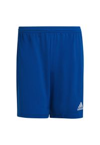 Adidas - Spodenki piłkarskie męskie adidas Entrada 22. Kolor: niebieski. Materiał: poliester, materiał. Sport: piłka nożna