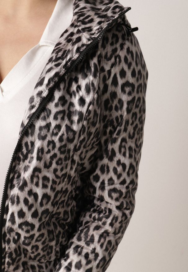 Born2be - Czarno-Biała Kurtka Przejściowa w Panterkę z Odpinanym Kapturem Antolea. Okazja: na co dzień. Kolor: biały, wielokolorowy, czarny. Materiał: jeans, poliester. Wzór: motyw zwierzęcy. Styl: casual