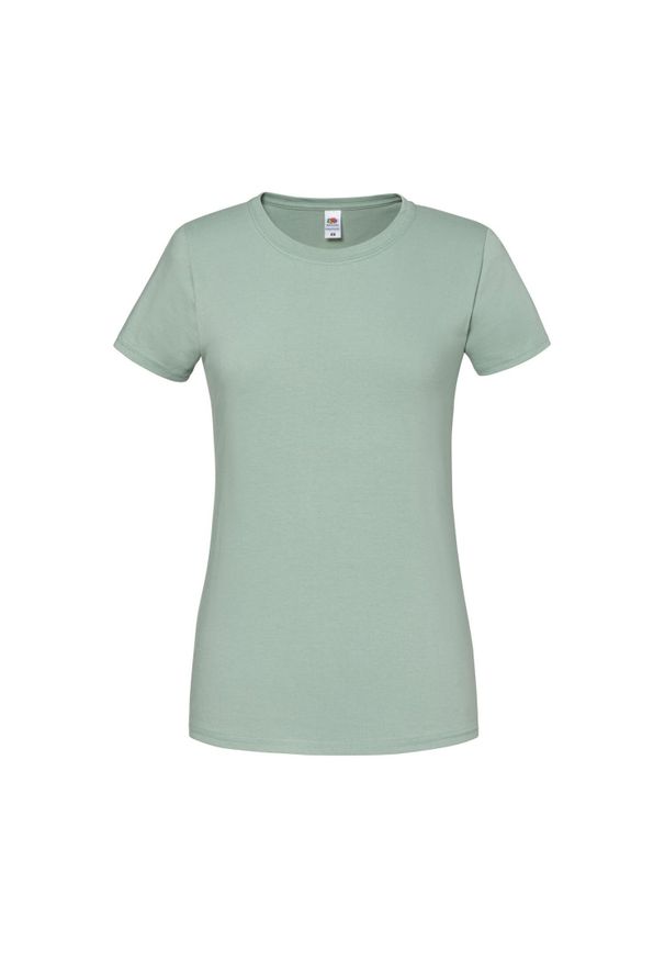 FRUIT OF THE LOOM - Koszulka Damska Iconic 190. Kolor: szary. Sport: turystyka piesza