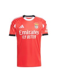 Adidas - Koszulka Benfica 25/26 Home. Kolor: czerwony. Sport: piłka nożna